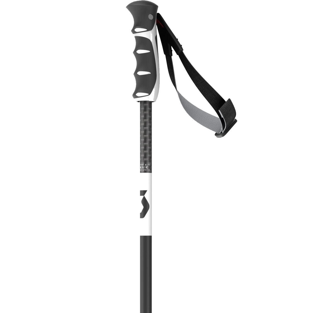 Pro Taper SRS Pole