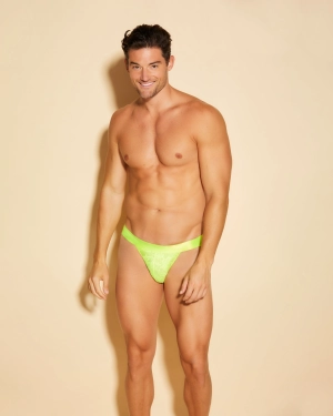 Sports Brief