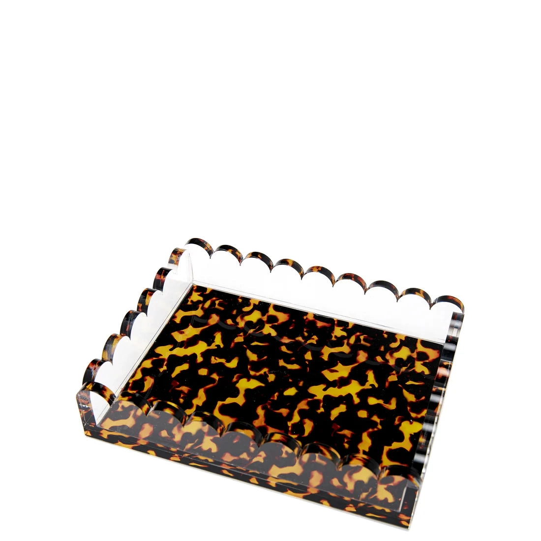 Tray Scallop Tortoise